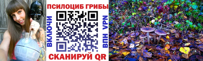 Купить где  Междуреченск  Псилоцибиновые грибы прущие грибы 
